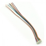 Molex Jumper 10 Wire Assembly -1.25mm